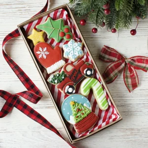 christmas winter themed sugar cookies
